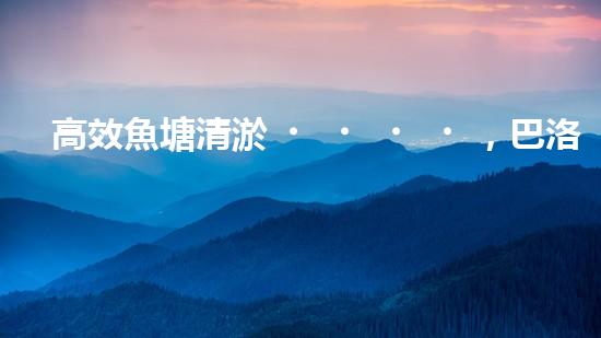 高效魚塘清淤，巴洛仕設(shè)備助力生態(tài)養(yǎng)殖